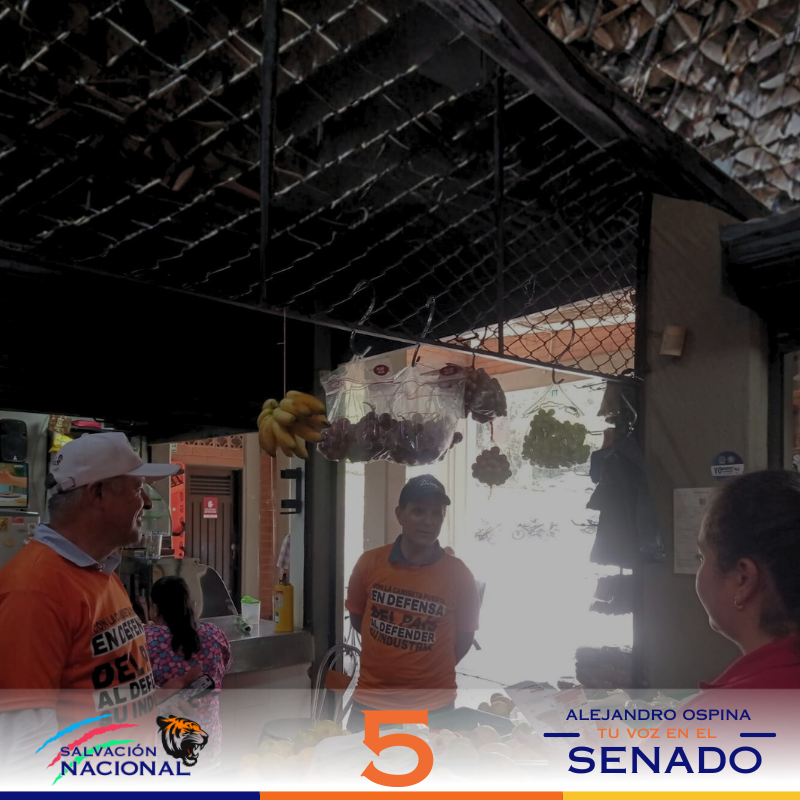 Politicas de protección